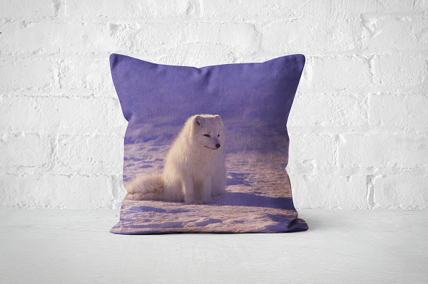 Custom - 45x45cm Pillow
