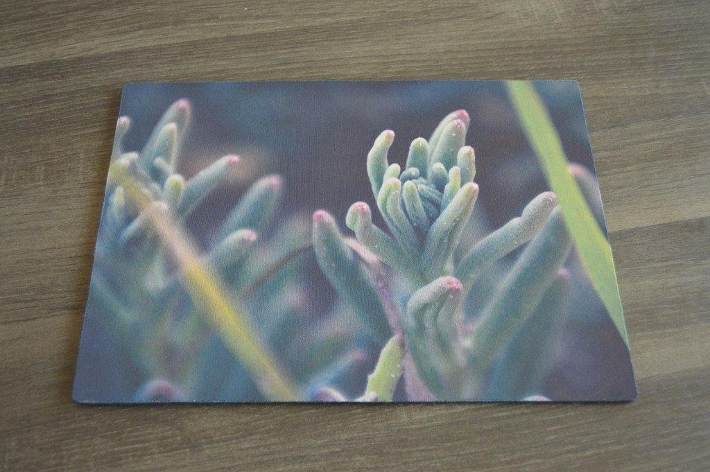 Placemat - Rubber - But Why Not - Photo Gifts