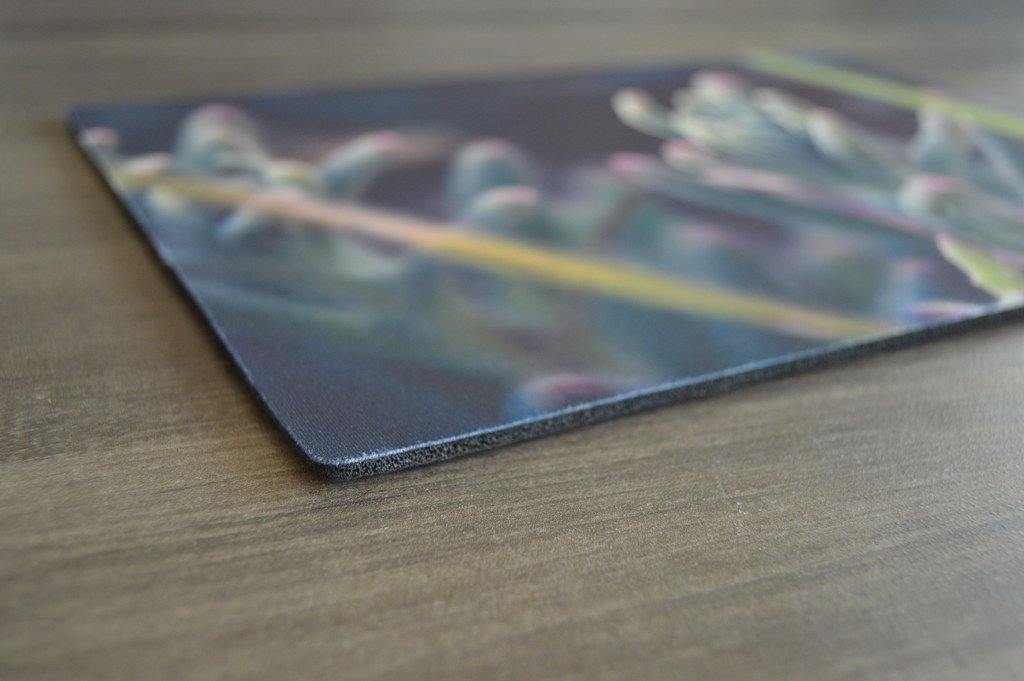 Placemat - Rubber - But Why Not - Photo Gifts