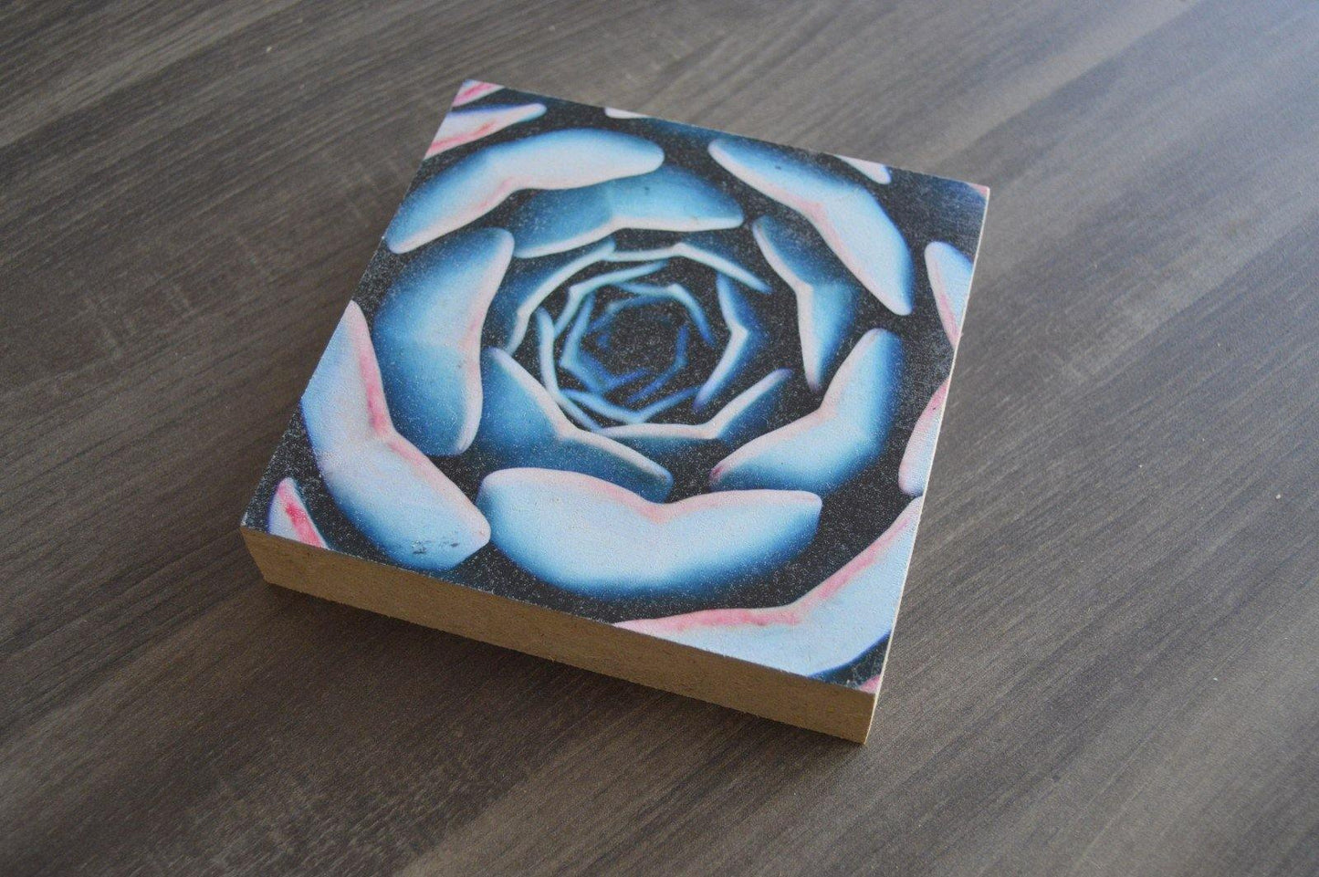 Wood Canvas - But Why Not - Personalized Gifts