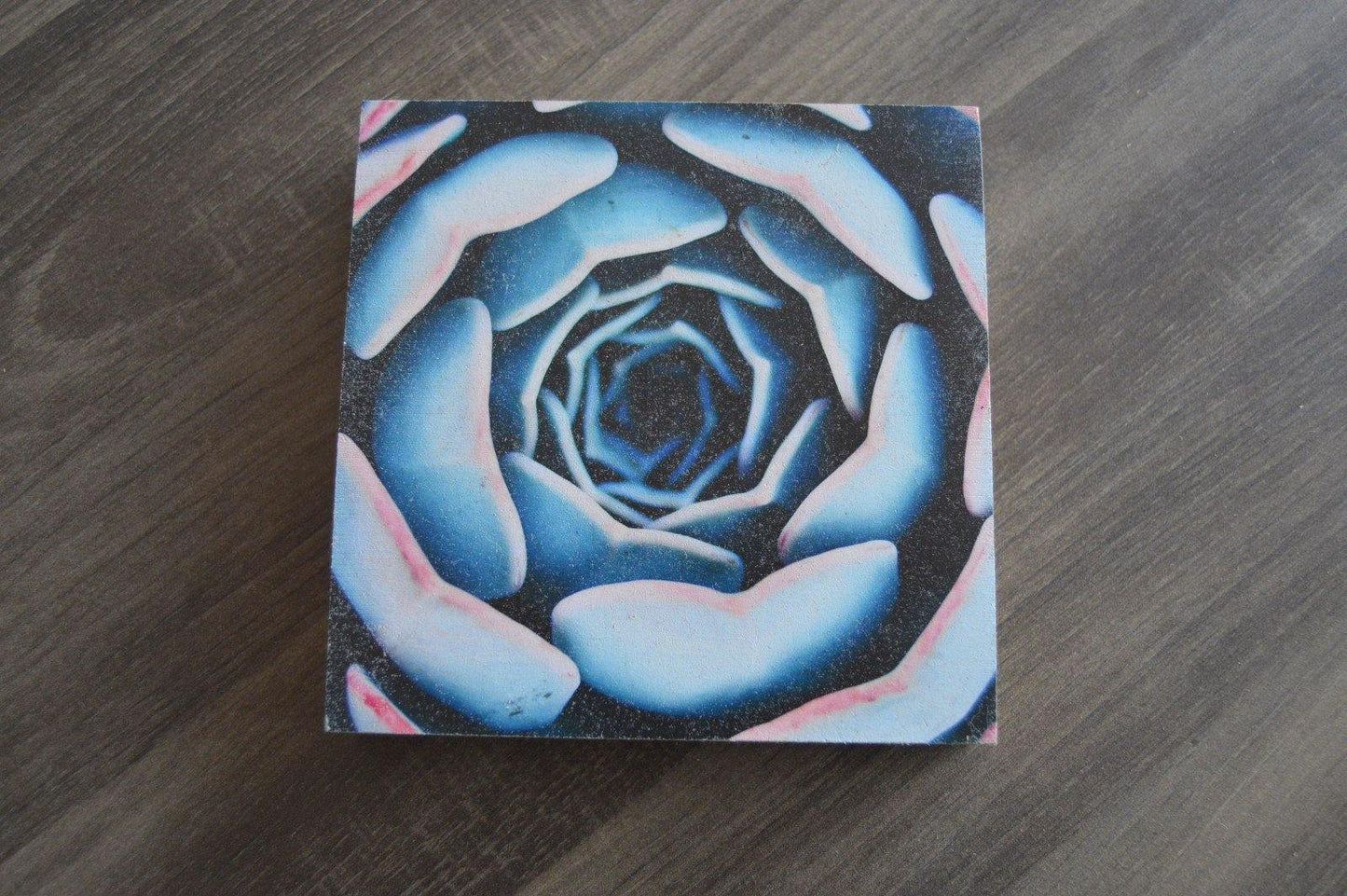 Wood Canvas - But Why Not - Personalized Gifts