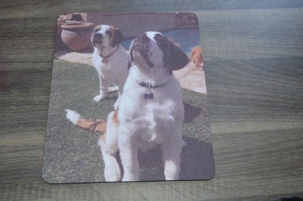 Mouse Pad - But Why Not - Photo Gifts