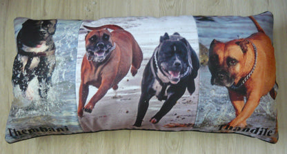 Longer Pillow with 3 Photos - But Why Not - Photo Gifts